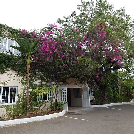 Hotel Mangos Jamaica Adults Only Falmouth Zewnętrze zdjęcie