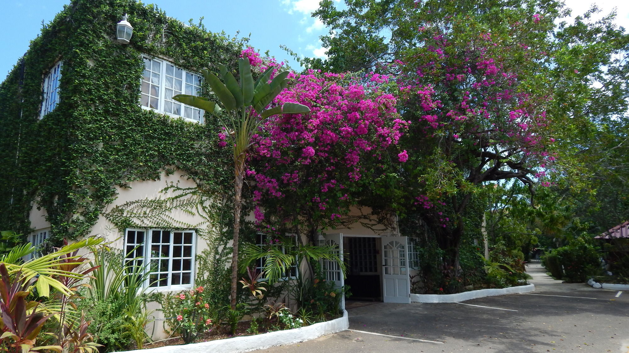 Hotel Mangos Jamaica Adults Only Falmouth Zewnętrze zdjęcie