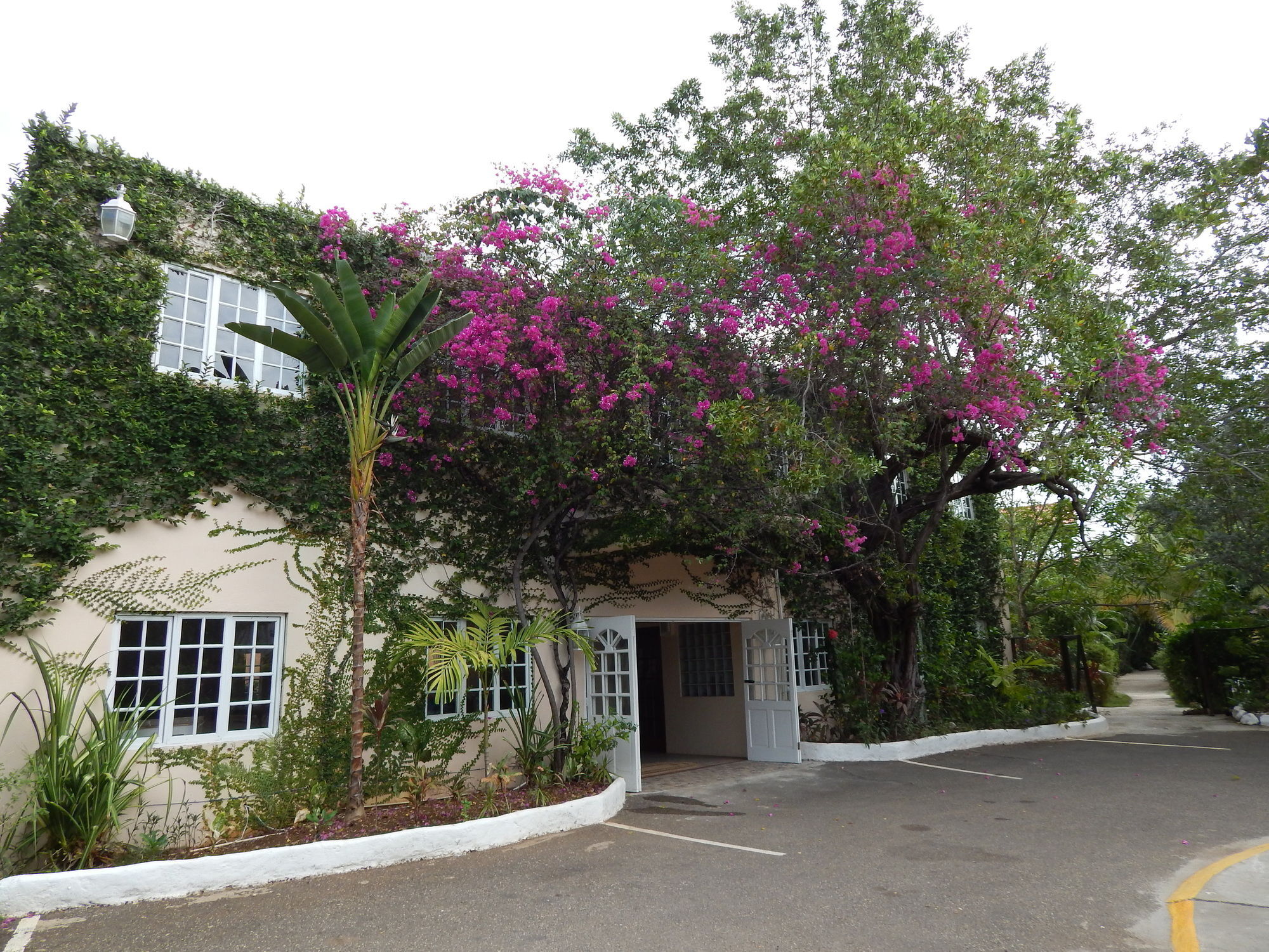 Hotel Mangos Jamaica Adults Only Falmouth Zewnętrze zdjęcie